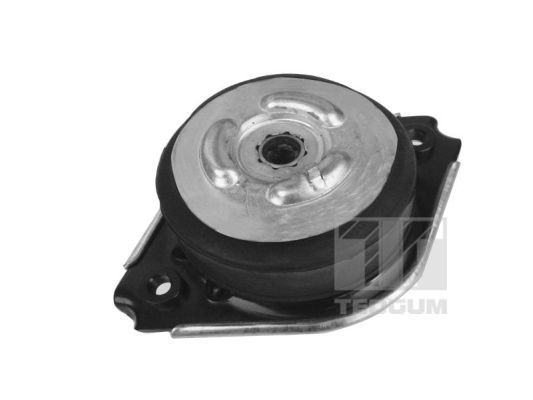 TEDGUM 00418536 Mounting, engine