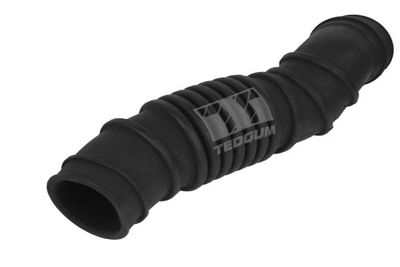 Intake Hose, air filter TEDGUM 00442257