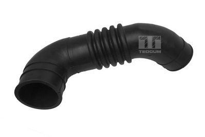Intake Hose, air filter TEDGUM 00442636