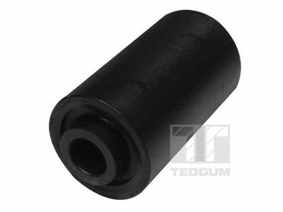Mounting, leaf spring TEDGUM 00445256