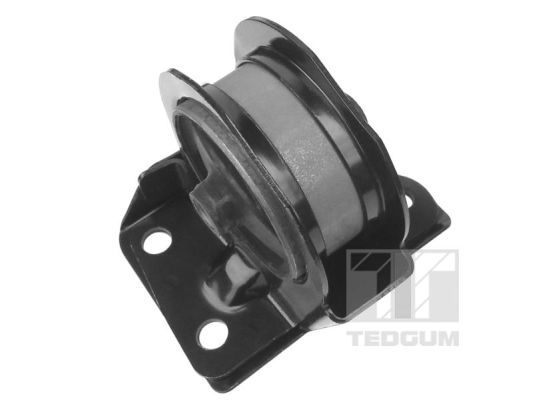 TEDGUM 00447218 Mounting, engine