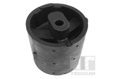 Mounting, engine TEDGUM 00458156