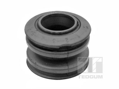 Mounting, control/trailing arm TEDGUM 00462370