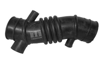 Intake Hose, air filter TEDGUM 00462537