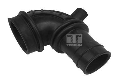 Intake Hose, air filter TEDGUM 00462632