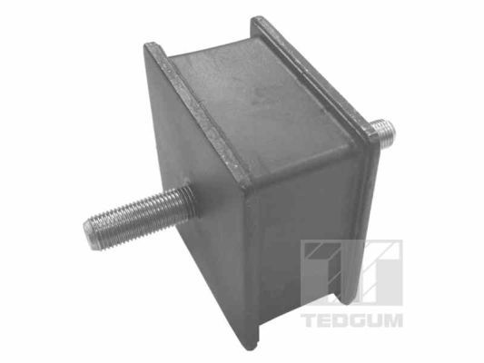 TEDGUM 00465023 Mounting, engine