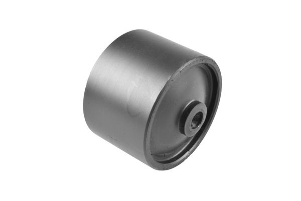TEDGUM 00465862 Mounting, control/trailing arm