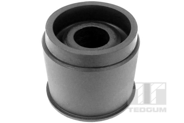 TEDGUM 00466568 Bushing, axle beam