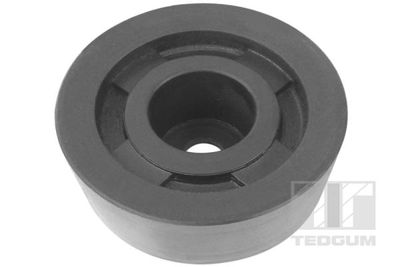 Mounting, differential TEDGUM 00466569
