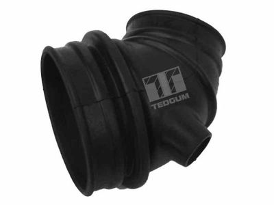 Intake Hose, air filter TEDGUM 00502984