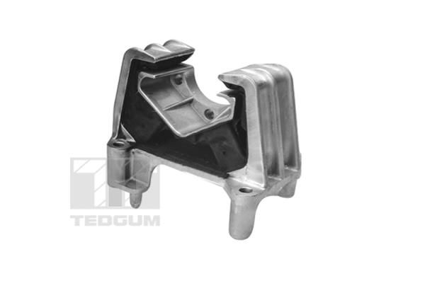 TEDGUM 00504645 Mounting, engine