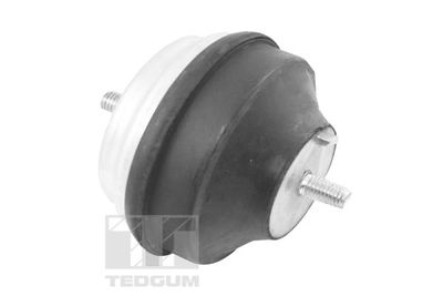 Mounting, engine TEDGUM 00504650