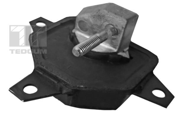 TEDGUM 00504658 Mounting, engine