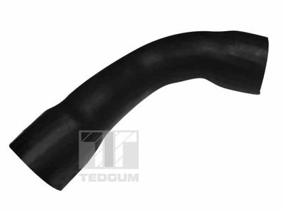 Charge Air Hose TEDGUM 00505576