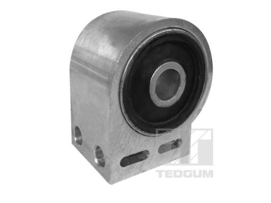 TEDGUM 00509068 Mounting, control/trailing arm