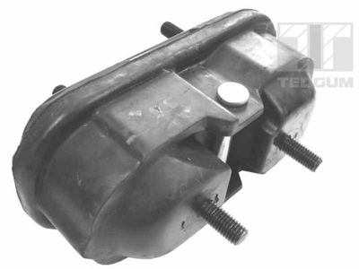 Mounting, engine TEDGUM 00541355