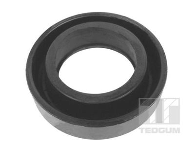 Suspension, propshaft TEDGUM 00580456