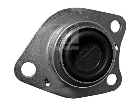 TEDGUM 00580609 Mounting, engine