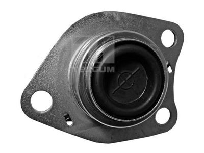 Mounting, engine TEDGUM 00580609
