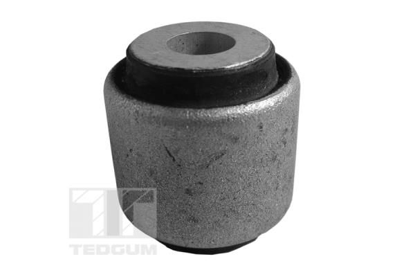 TEDGUM 00580882 Mounting, control/trailing arm