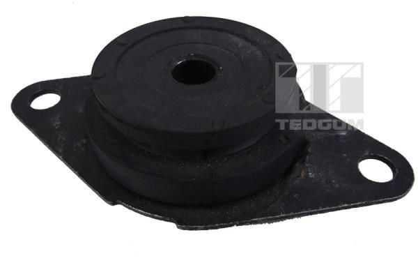 TEDGUM 00581751 Mounting, engine