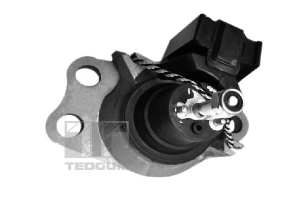 TEDGUM 00586865 Mounting, engine