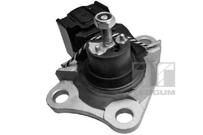 Mounting, engine TEDGUM 00586867