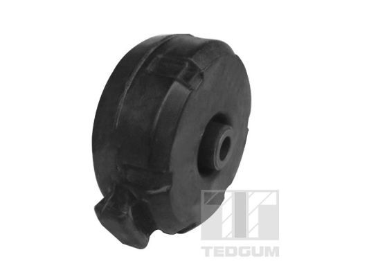 TEDGUM 00588804 Mounting, engine