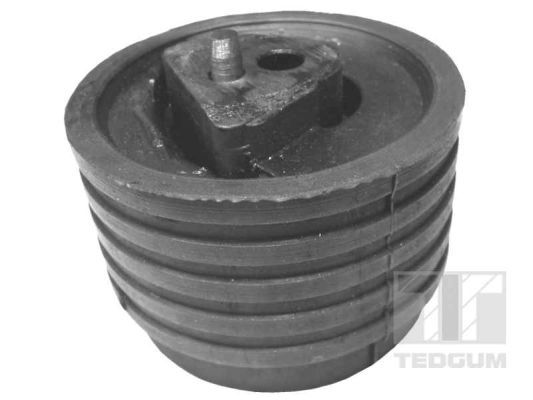 TEDGUM 00614322 Mounting, engine