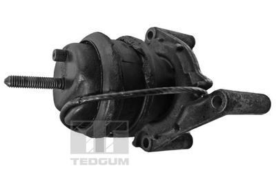 Mounting, engine TEDGUM 00617593