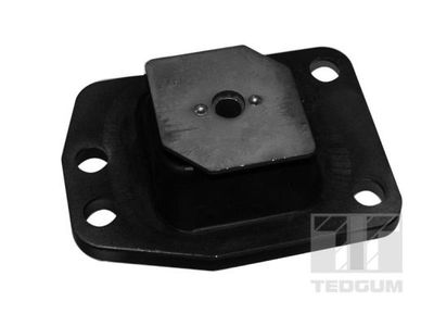Mounting, engine TEDGUM 00619276