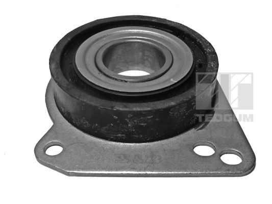 TEDGUM 00620602 Bearing, drive shaft