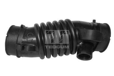 Intake Hose, air filter TEDGUM 00672139