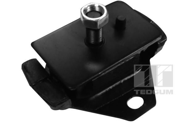 TEDGUM 00672556 Mounting, engine