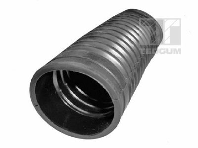 Protective Cap/Bellow, shock absorber TEDGUM 00676730