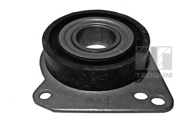 Bearing, drive shaft TEDGUM 00720588