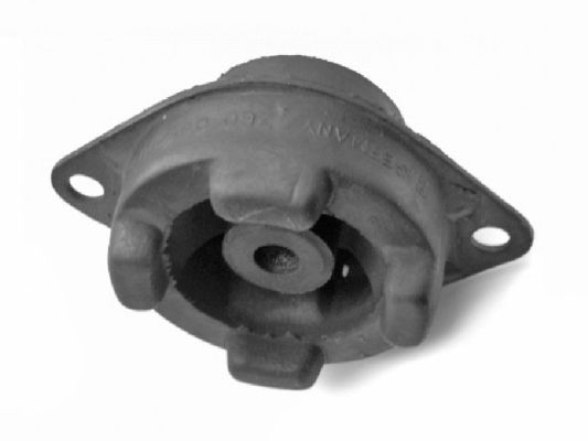 TEDGUM 00721053 Mounting, engine