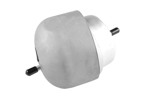 TEDGUM 00723055 Mounting, engine
