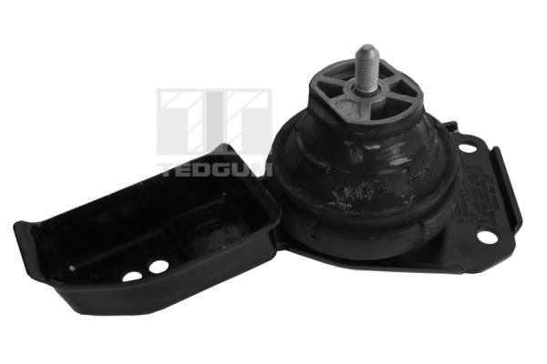TEDGUM 00724499 Mounting, engine
