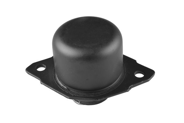 TEDGUM 00725574 Mounting, engine