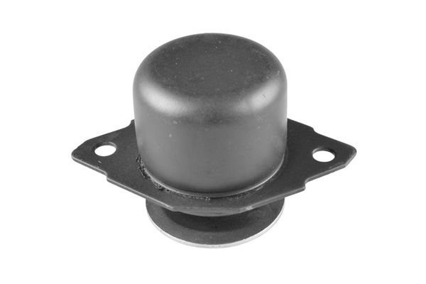 TEDGUM 00725575 Mounting, engine