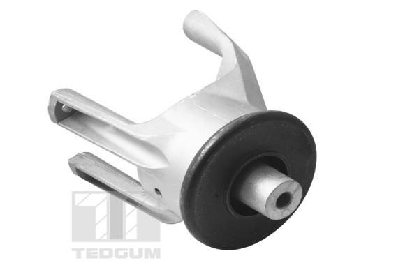 TEDGUM 00725748 Mounting, engine