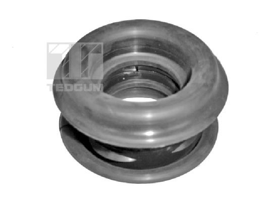 TEDGUM 00726129 Suspension, propshaft