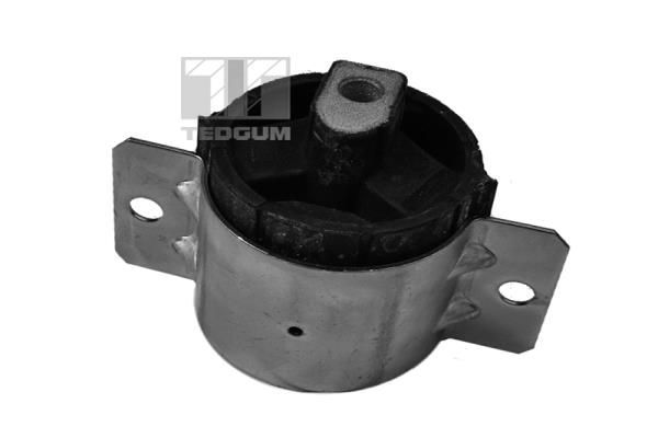 TEDGUM 00726345 Mounting, manual transmission support
