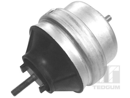 TEDGUM 00726440 Mounting, engine