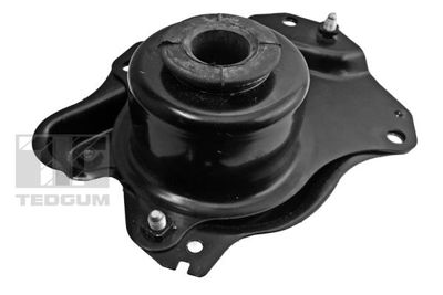Mounting, engine TEDGUM 00727579