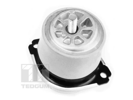 TEDGUM 00728486 Mounting, engine