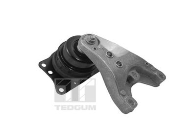 Mounting, engine TEDGUM 00729405
