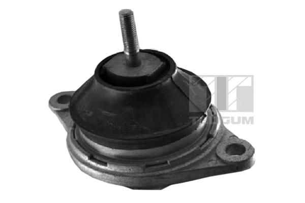 TEDGUM 00729824 Mounting, engine