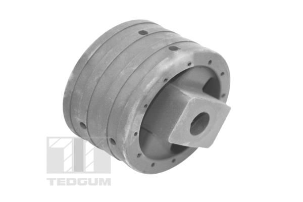 TEDGUM 00741004 Mounting, engine